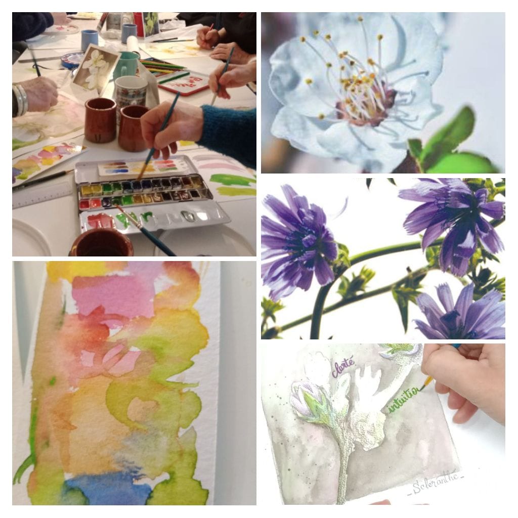 Atelier peindre sa fleur de Bach