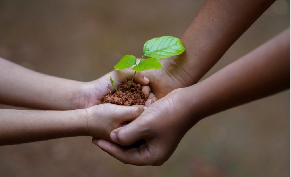 Consultations en santé naturelle - Accompagner, partager, transmettre. 