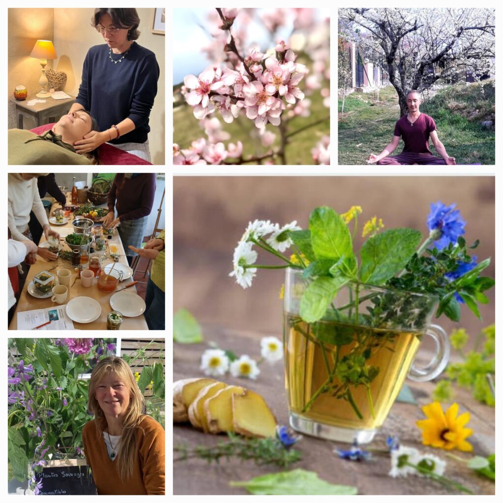 Journée bien-être, Yoga, Energie et Santé naturelle - Ateliers de naturopathie à Mouans-Sartoux