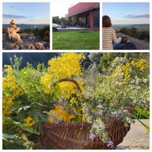 Y.E.S Day - Ateliers de naturopathie à Mouans-Sartoux