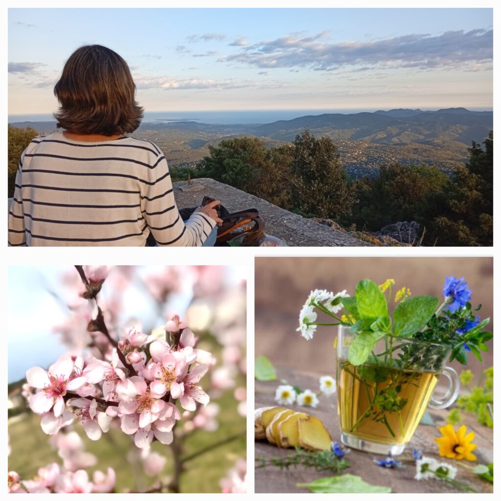 Y.E.S Day de printemps - Ateliers de naturopathie à Mouans-Sartoux