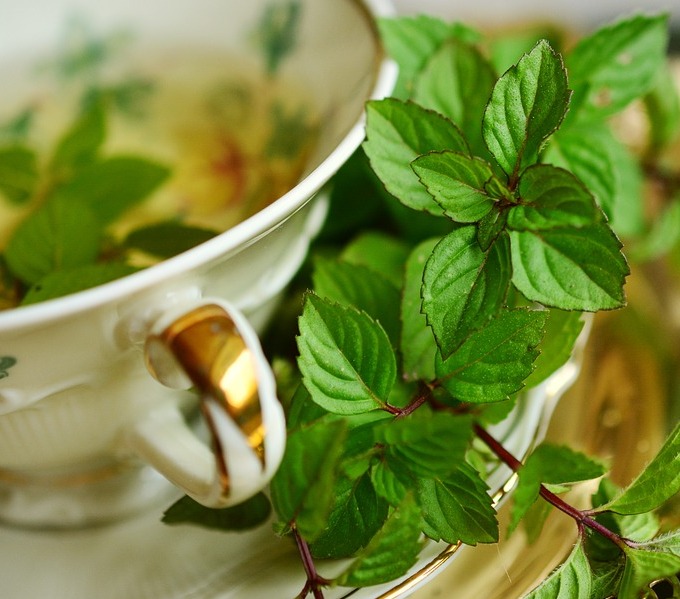 Infusion de plantes médicinales - Atelier herboristerie Mouans-Sartoux